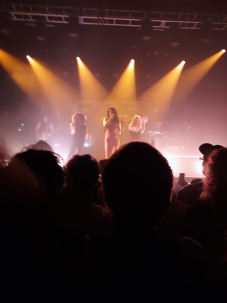 Rina sawayama concert