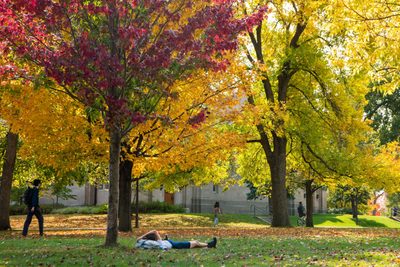 a student lays outside during fall