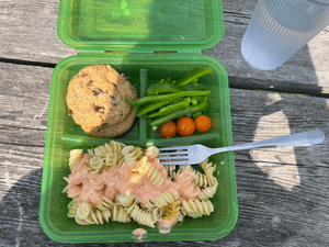 A green reusable container on a table, holding green peppers, edamame, tomatoes, 2 cookies, and pasta with red sauce.