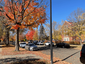A street view of fall foliage on the Carleton campus.