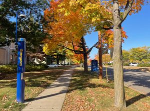 Fall foliage on Carleton's campus