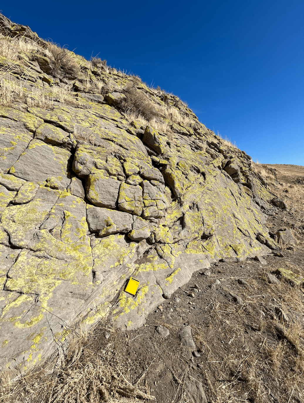 Large set of deformation bands on a rock