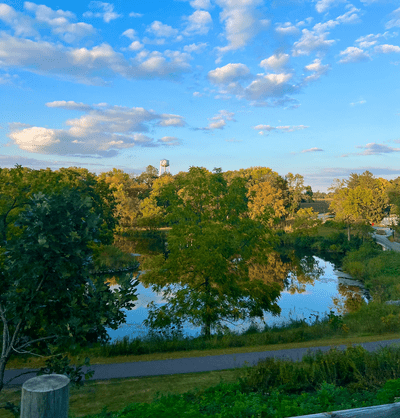 lake with green trees
