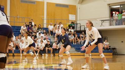 Volleyball players on a court.