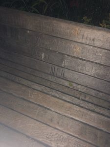 a frog on the bench 
