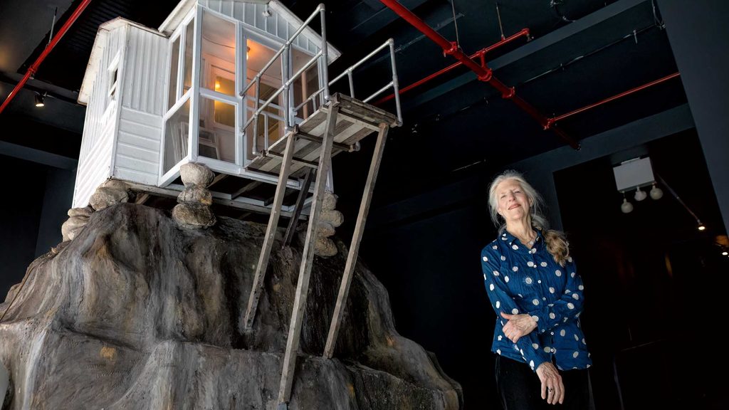 donna dennis stands below her sculpture of a quarter-scale house perched on top of a boulder