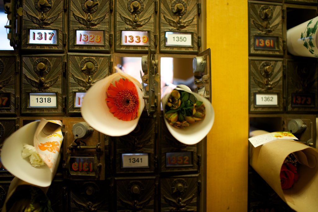 flowers poke out of a wall of student mailboxes