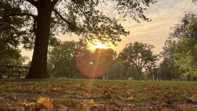 bald spot in autumn evening