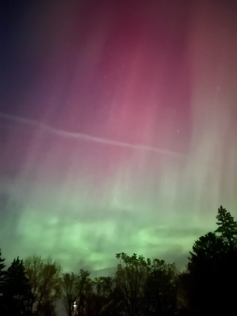 northern lights above treeline