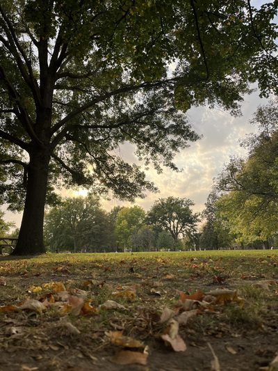 view of the bald spot
