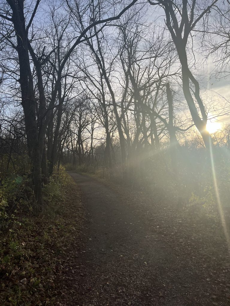 the arb on a post-leaves autumn day