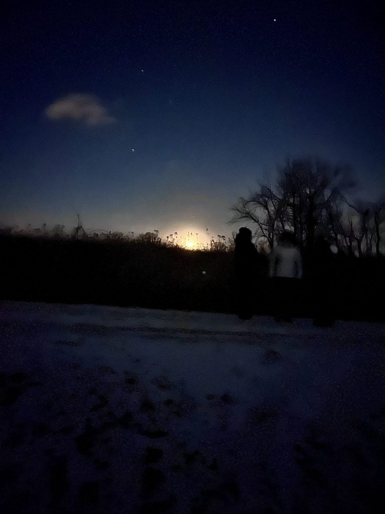 arb walk with people in background