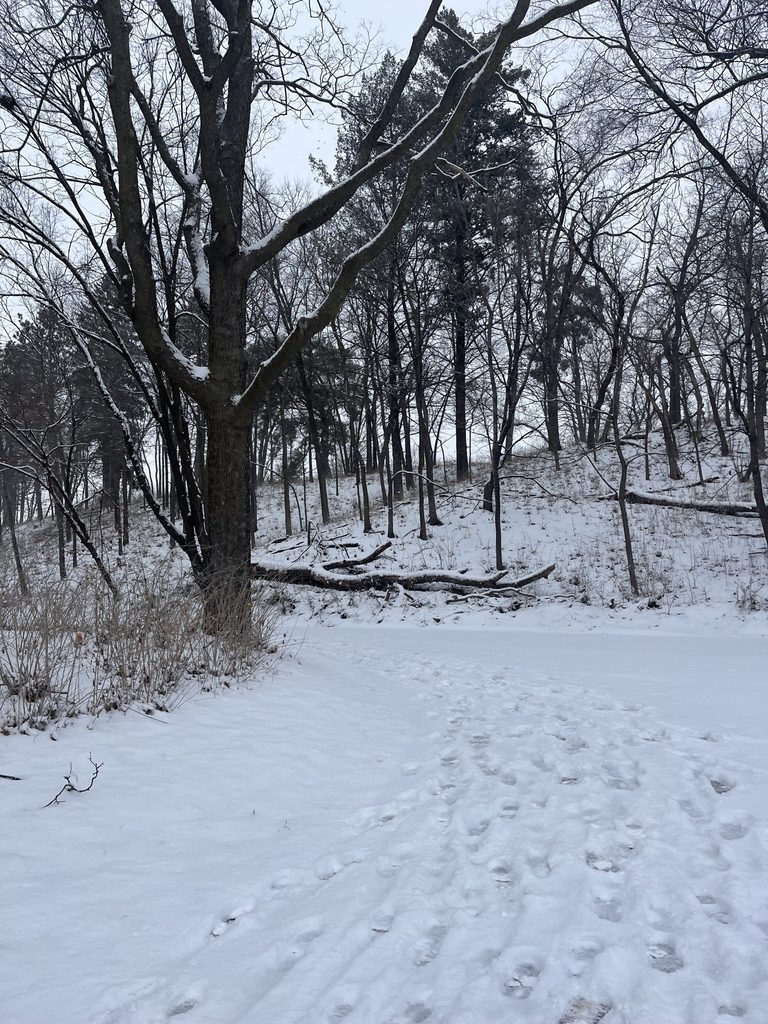 upper arb covered in snow