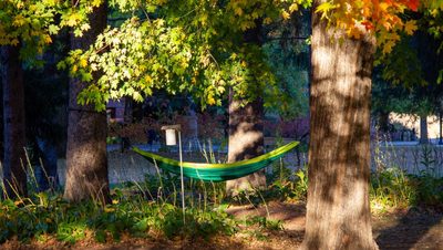 Hammock between trees