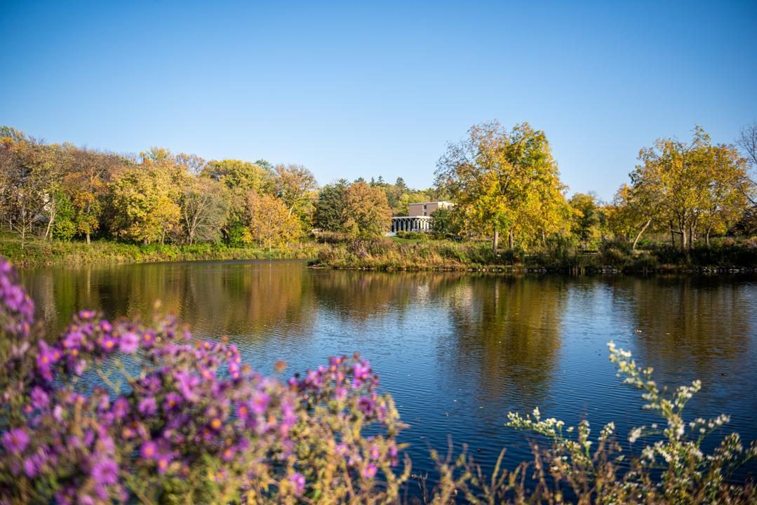 Pond in the arb