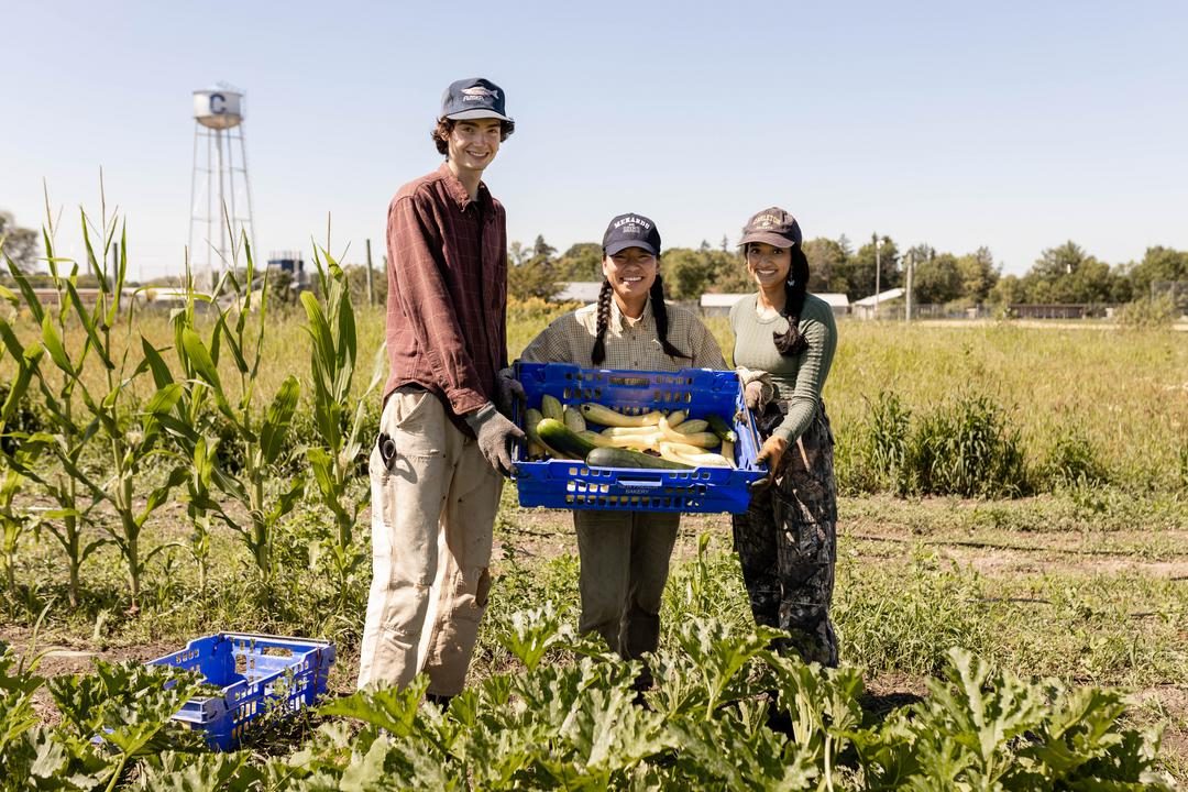 People standing on a farm