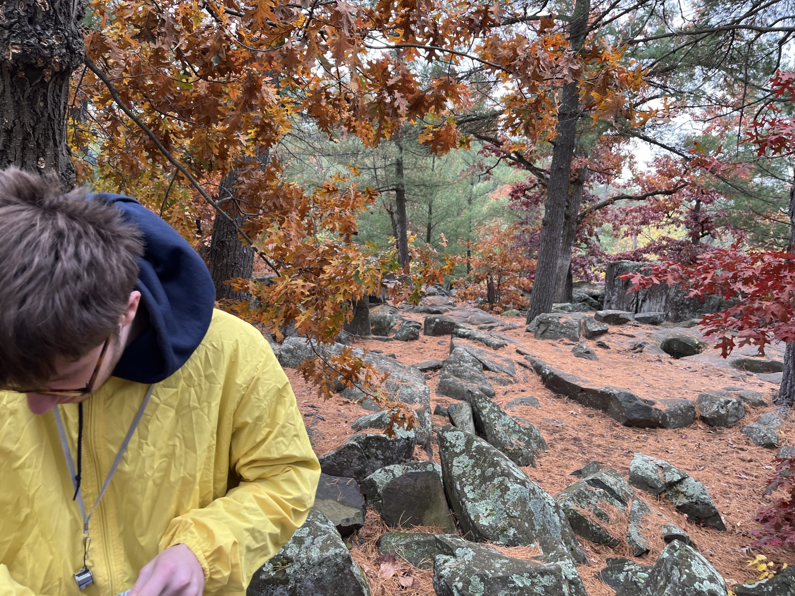 geology lab in the woods