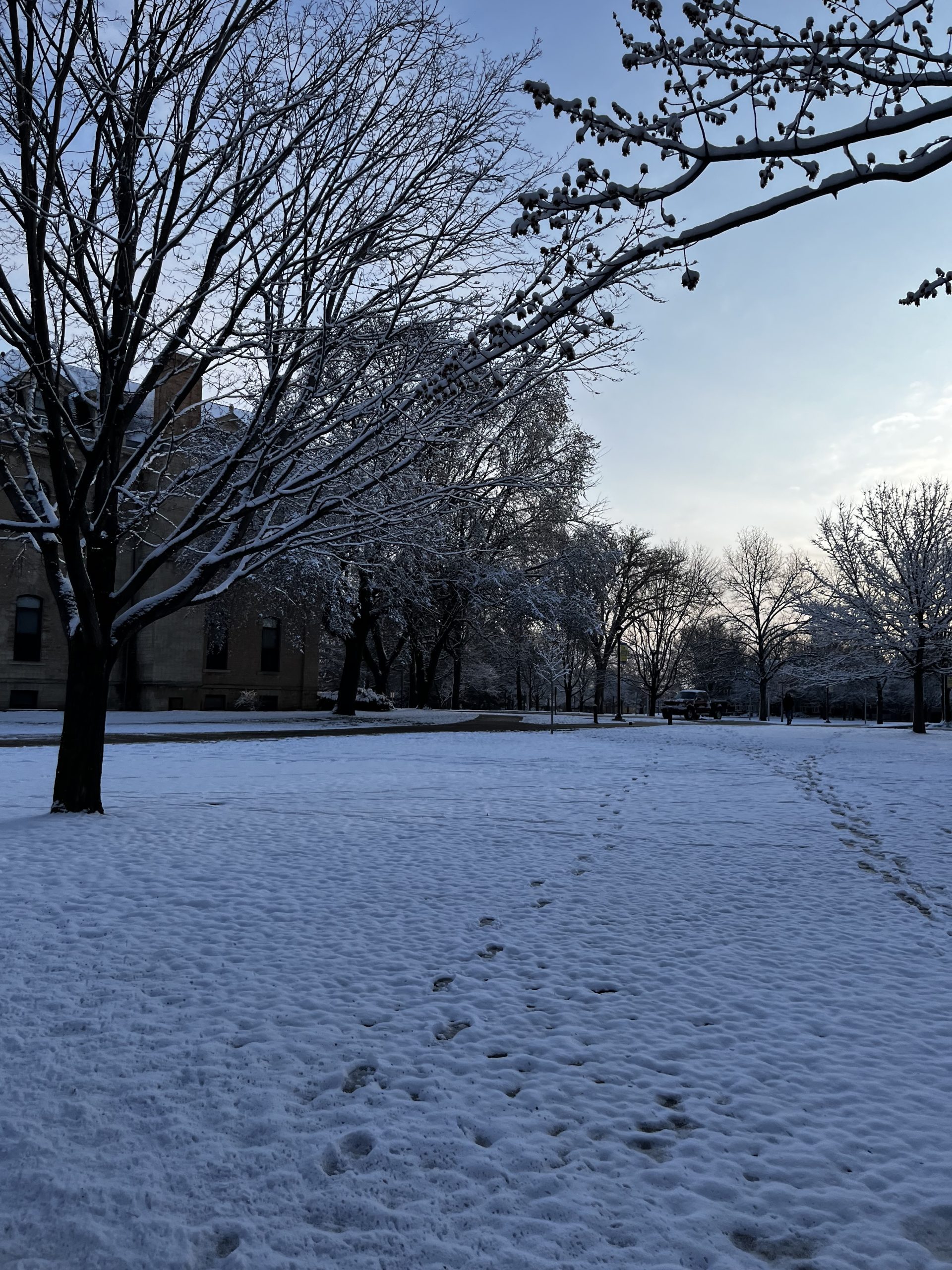 Snowy building
