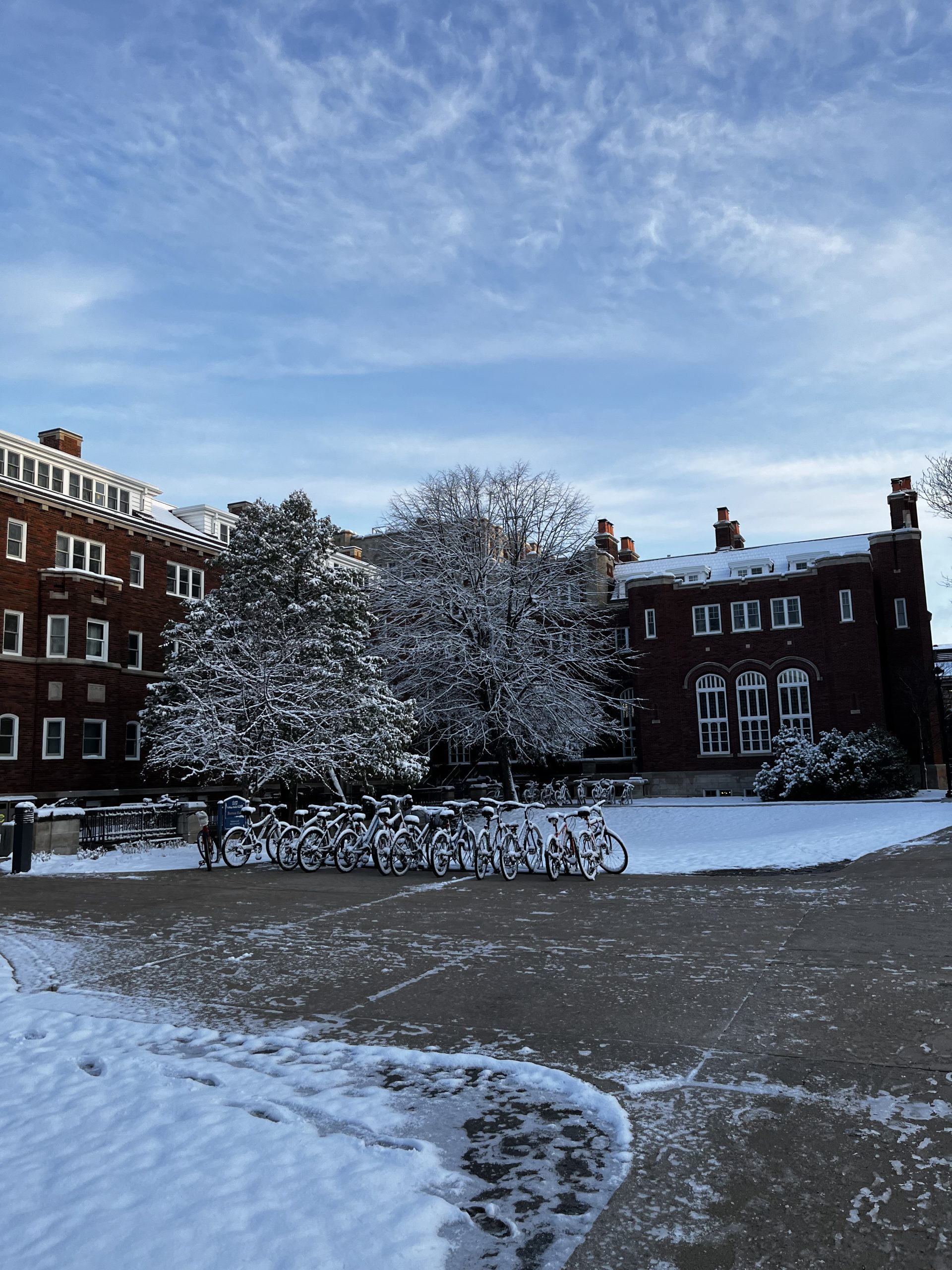 Burton after snow