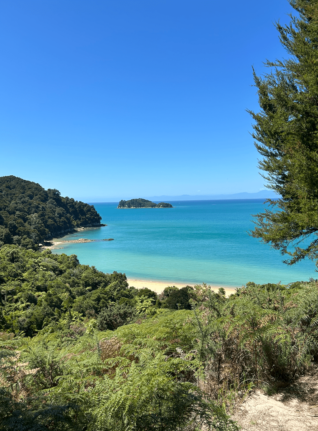 Blue ocean by green trees