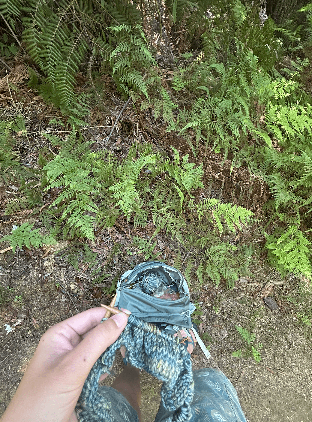 Backpack with knitting material on a trail