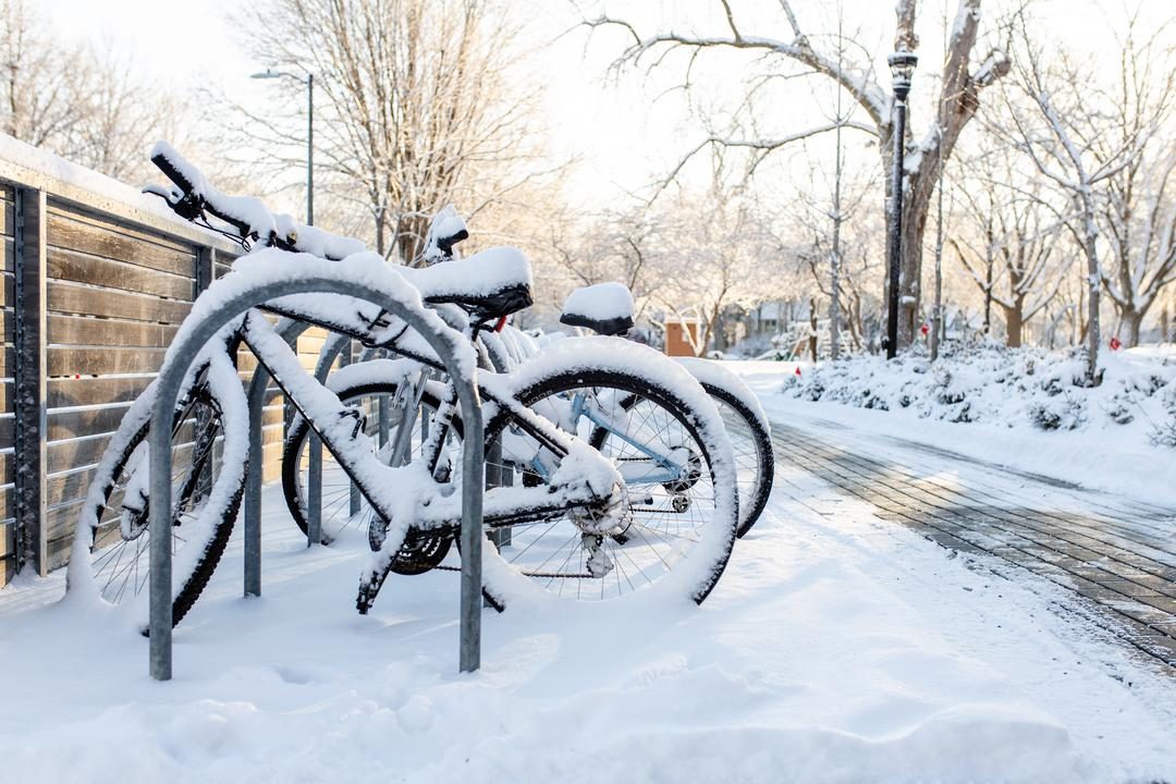 Bikes covered in snow