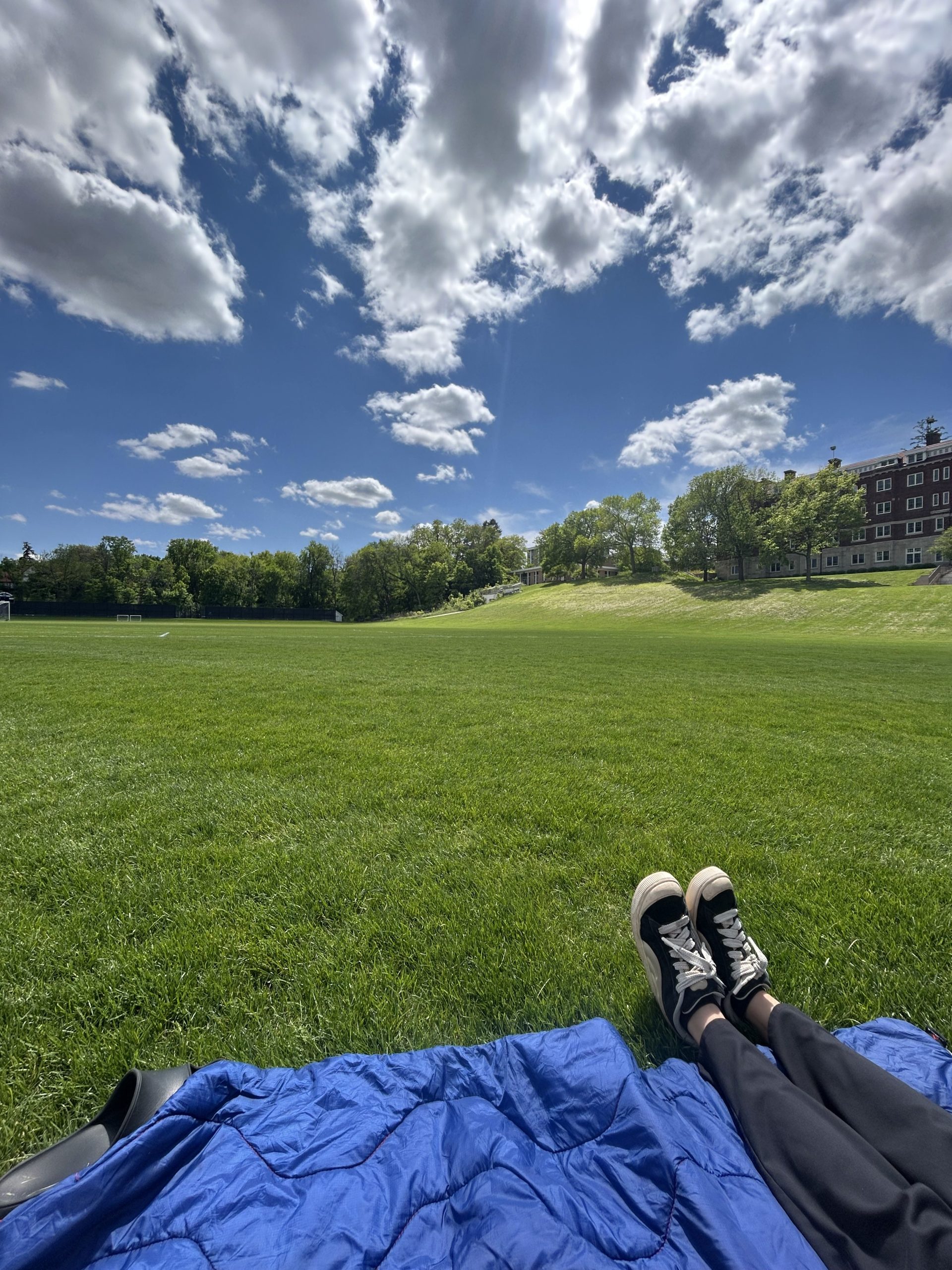 bell field