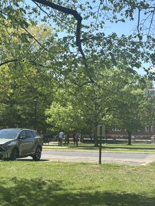 students playing on the lawn