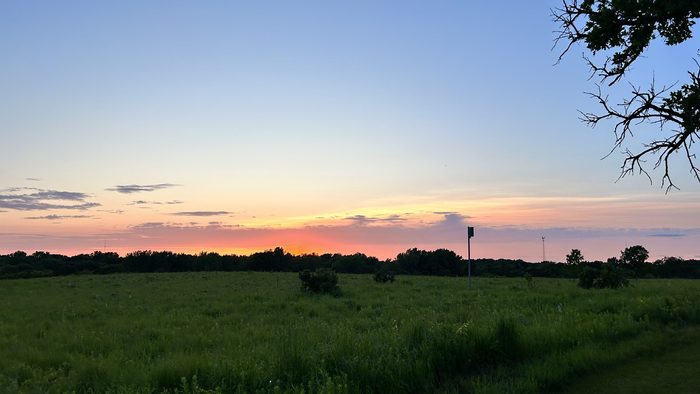 A grassy field with a sunset in the background