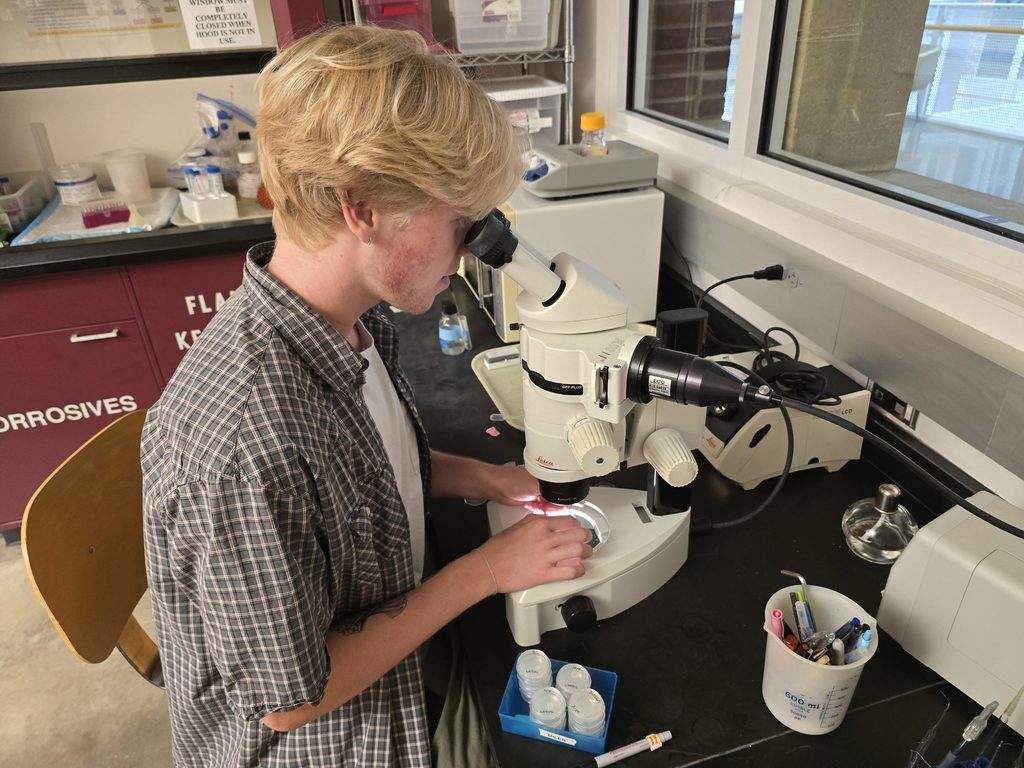 a biology student looks into a microscope