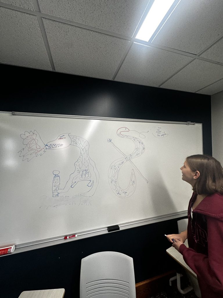 Leo's Friend, Alexis, admiring a student made drawing of Thomas Hobbes' Leviathan in Political Philosophy.