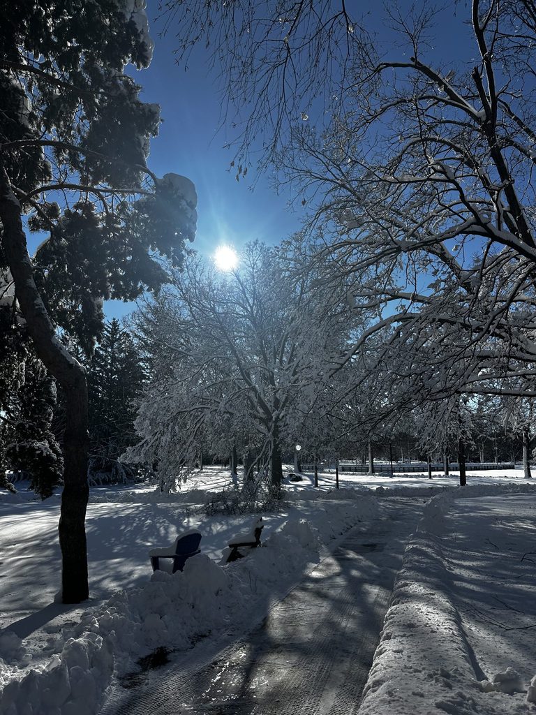 A sunny afternoon in the winter, with snow blanketing the ground.