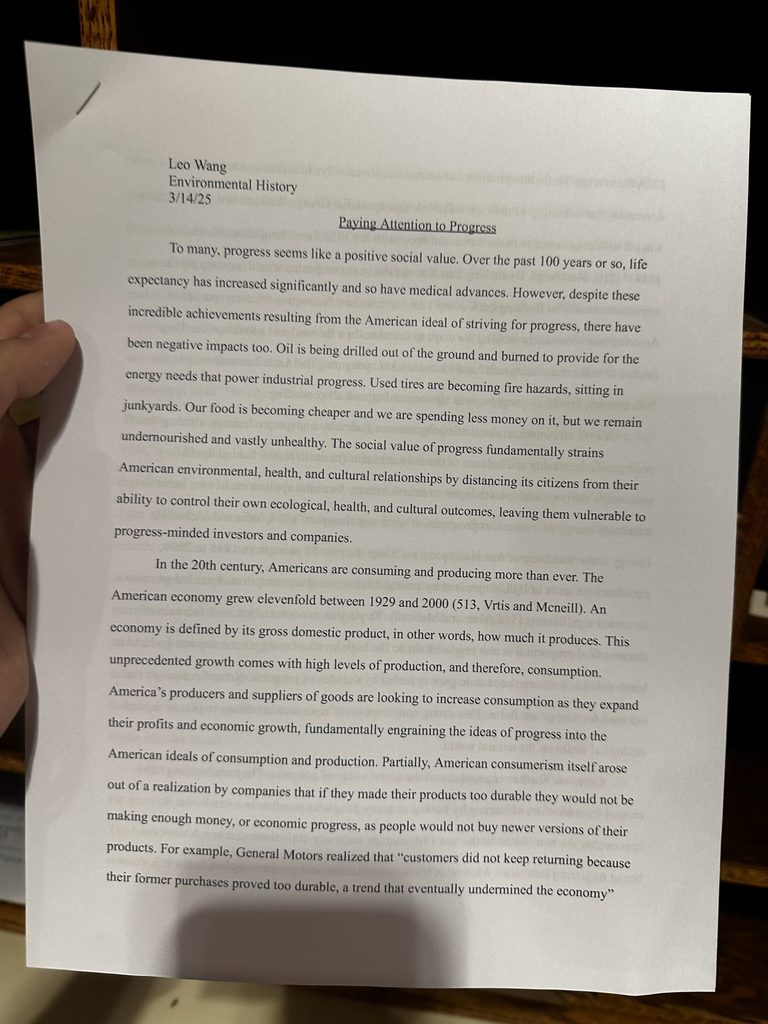 A photo of an essay