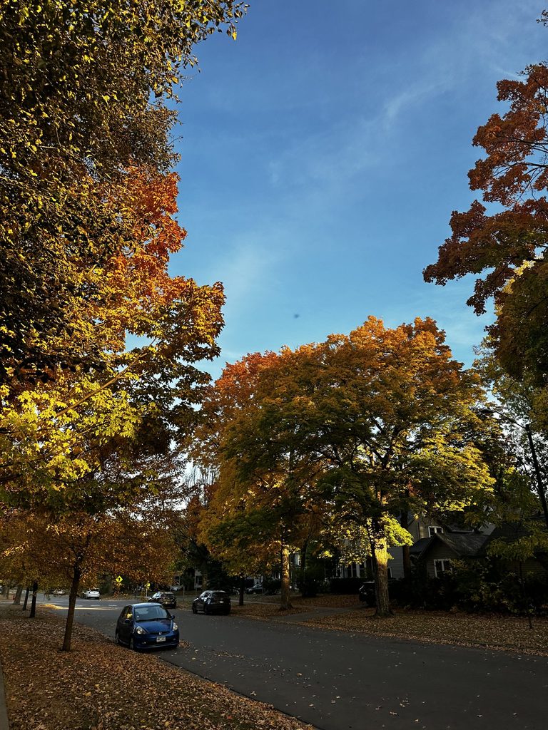 Fall trees on the side of a road, with a blue sky