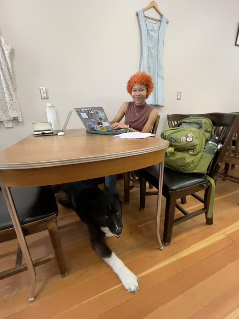 A student studies at a table in a cafe. A large dog lays under the table.