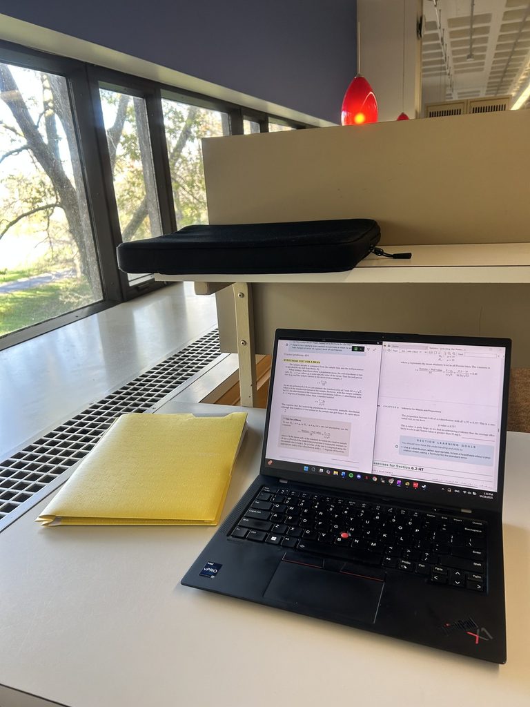 Studying at the Libe