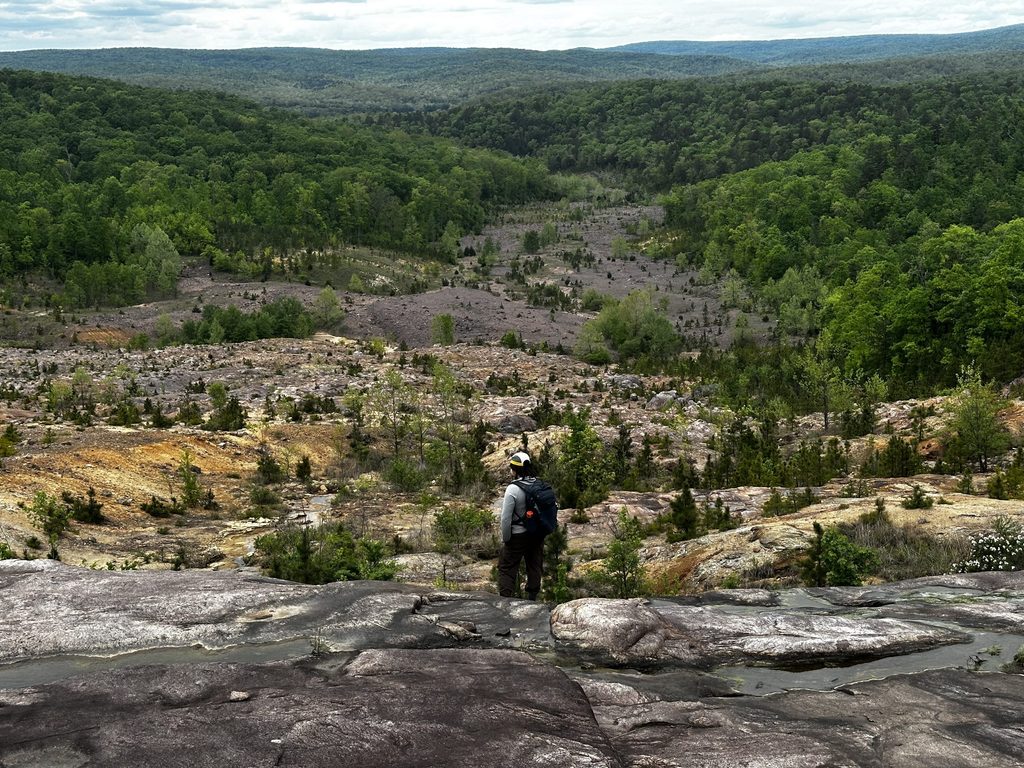 Person standing on an overlook, staring into the forest