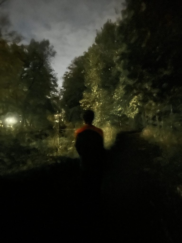 A photo of a person walking away in the dark green forest. 