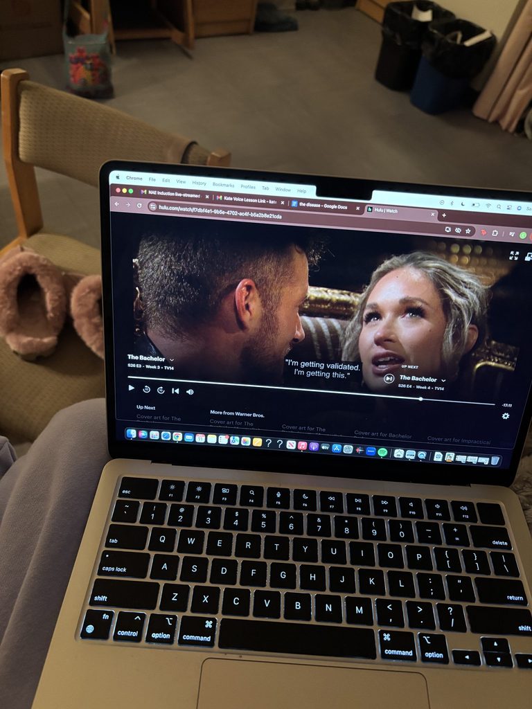 The Bachelor on a computer