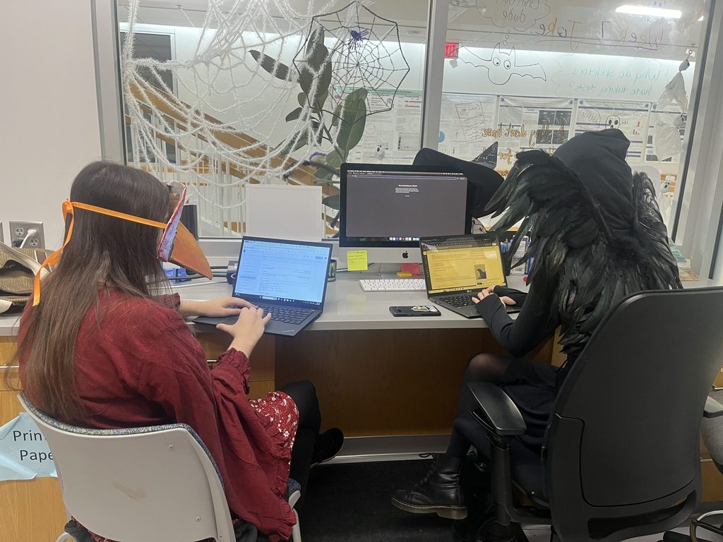 People in bird costumes doing work