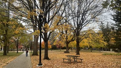 Fall trees on campus