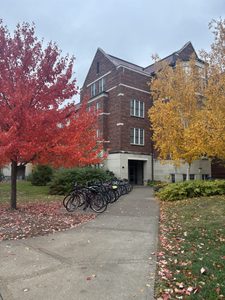 Fall trees outside of Cassat