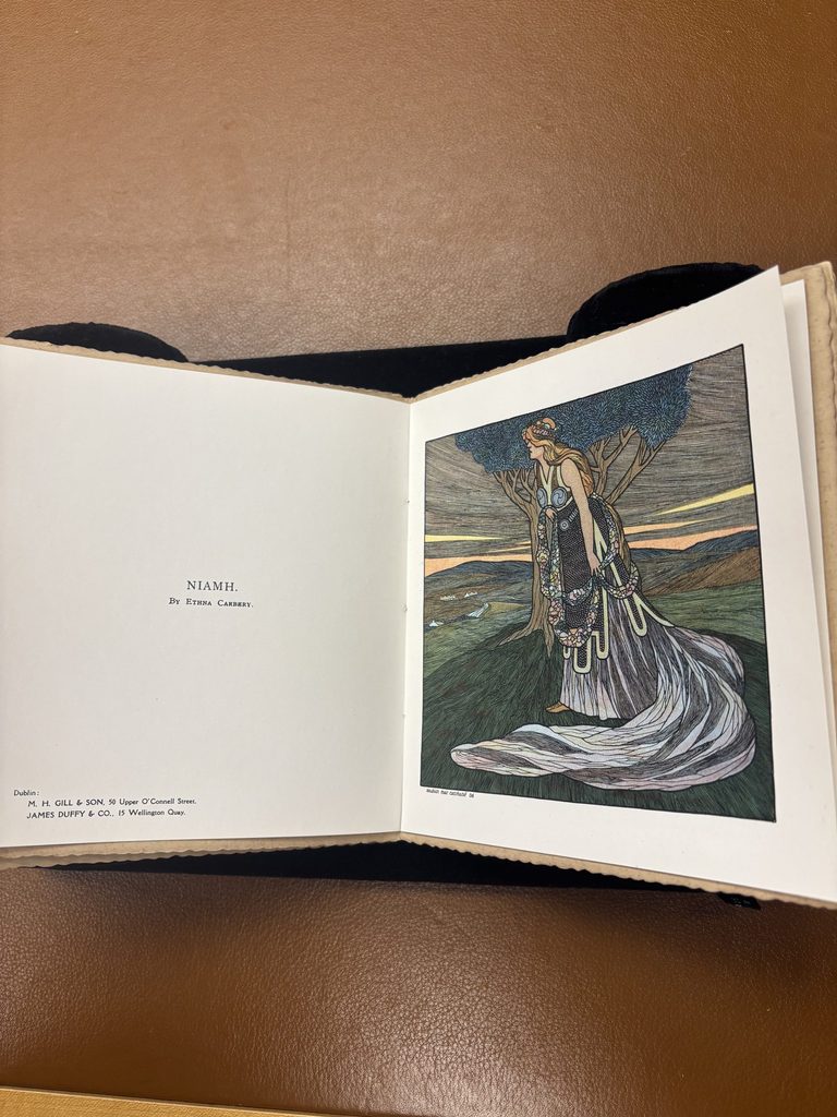 An Irish music book from special collections