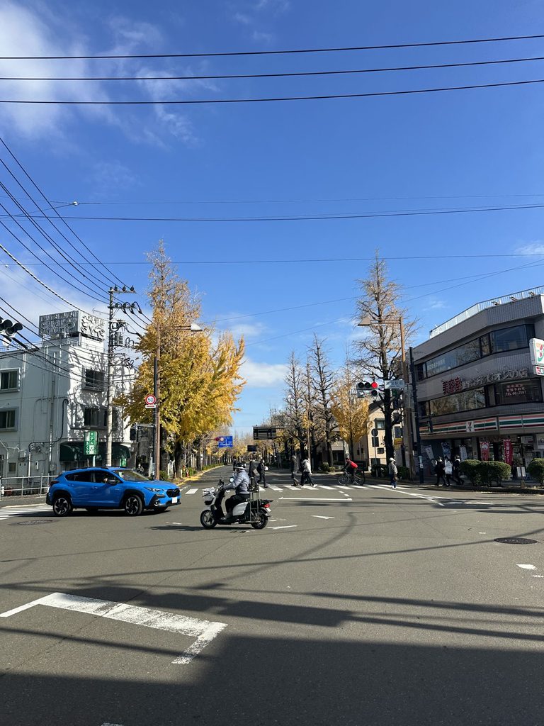 A yellow tree at a intersection with some cars
