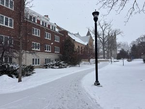 Davis in the snow