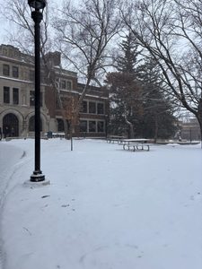 leighton in the snow
