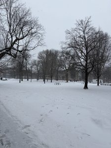 a campus walkway during a snowy day
