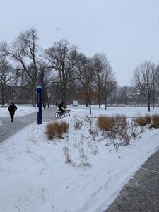Campus during the snow
