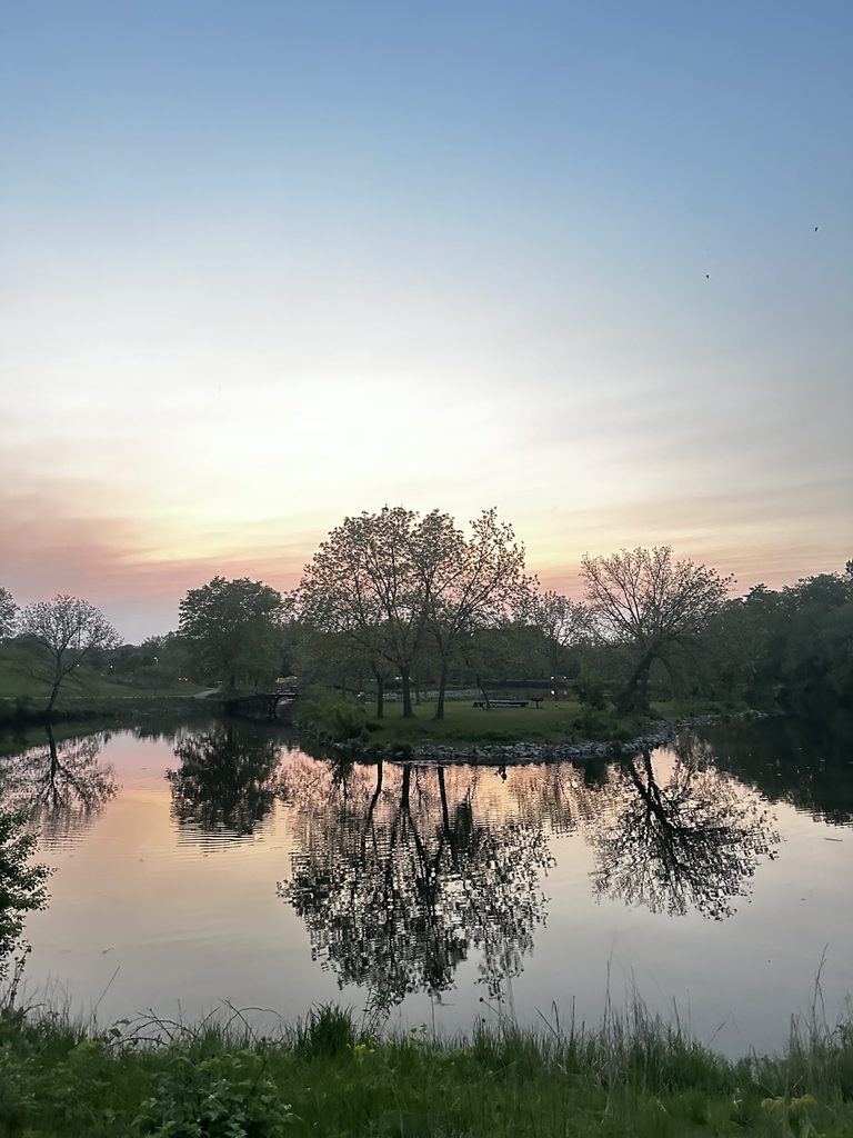 A peaceful morning with the reflection of a tree in front of a lake