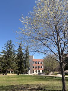 Anderson in the spring